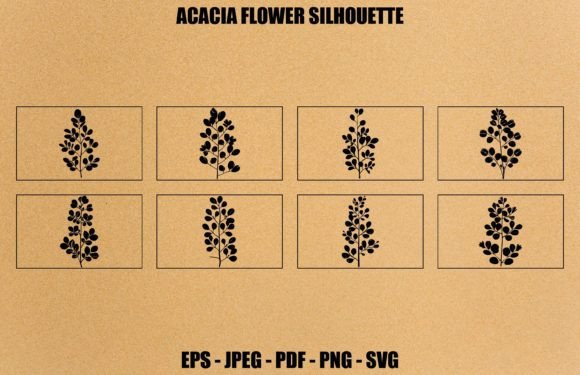 Acacia Leafs and Flowers Silhouette Set Graphics for Digital Selling