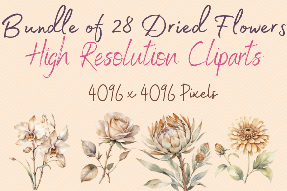 Ethereal Blooms 28 Dried Flowers SVGs for Branding and Marketing