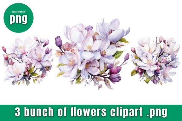 Flowers Clipart Graphics for Editorial and Web Design