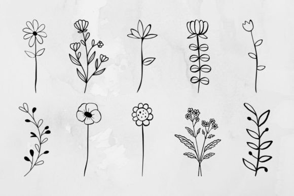 Flowers, Plant Outline Svg Bundle for Local Branding