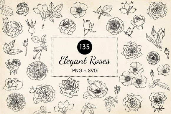 Hand-drawn Roses SVG Vector Bundle
