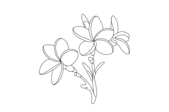 Line Art of Plumeria Flowers Vector: A Graphic Asset for Editorial and Web Design