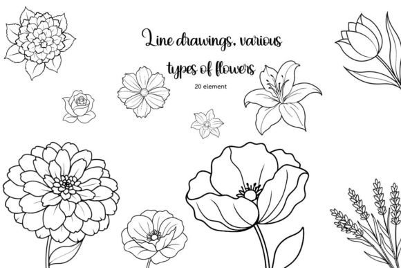 Line Art, Various Types of Flowers Graphics