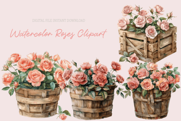 Pink Roses in Basket Watercolor Graphics