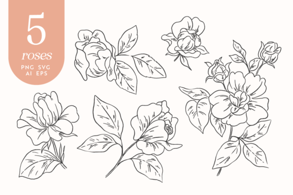 Roses Graphics for Branding