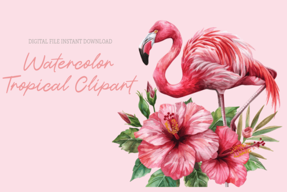 Watercolor Tropical Flowers Graphics for Editorial and Web Design